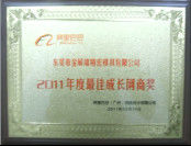 Porcellana Dongguan Kingrui Precision Mould Co.,LTD Certificazioni